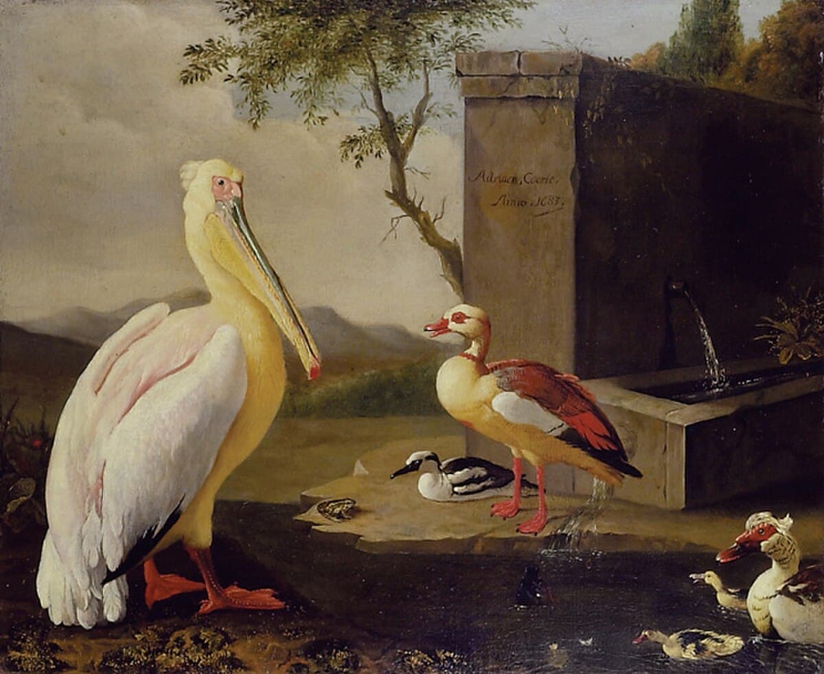 Pelican and Ducks in a Mountain Landscape by Adriaen Coorte at Private Collection