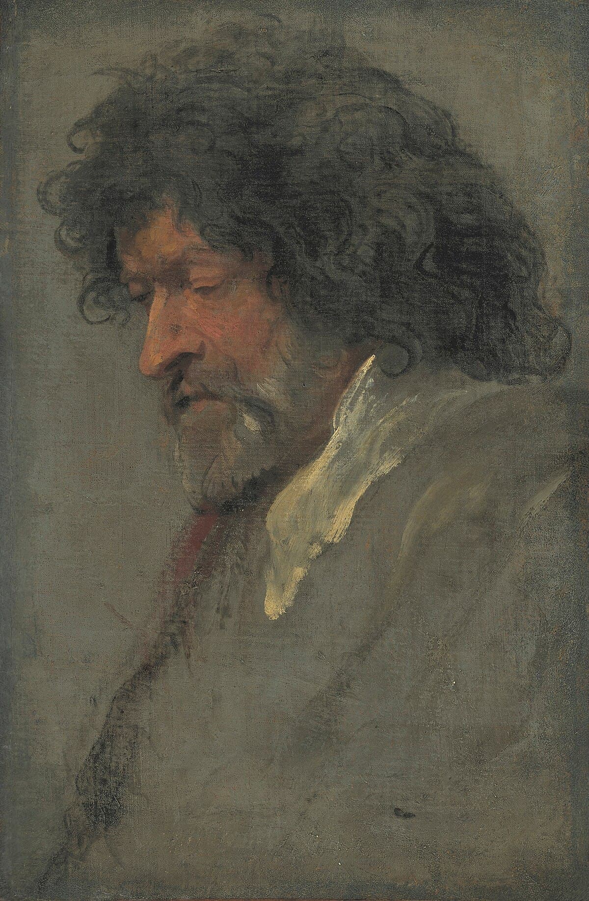 Studies of a Man's Head by Anthony van Dyck