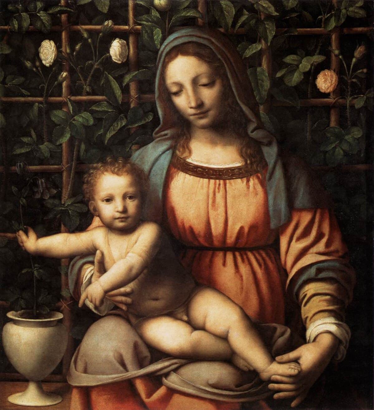 Madonna of the Rose-bush by Bernardino Luini
