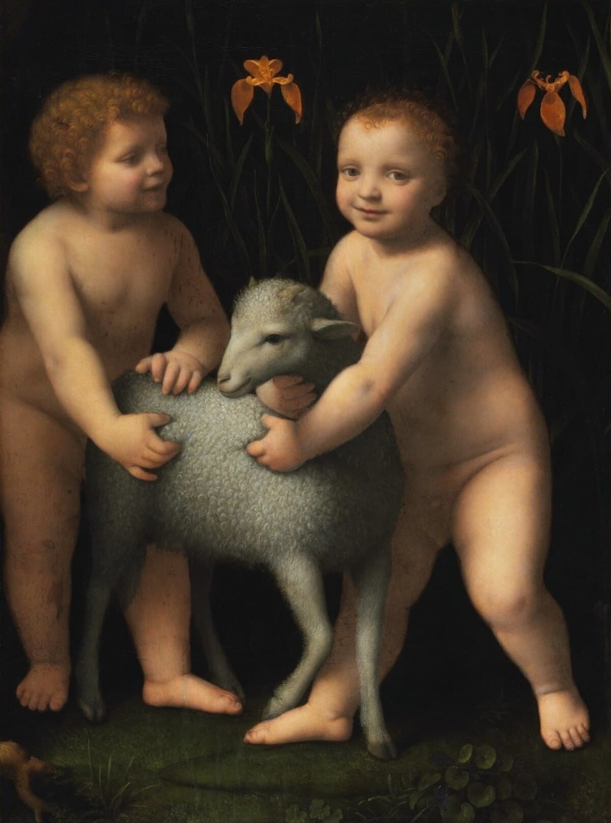The infant Jesus with a Lamb by Bernardino Luini