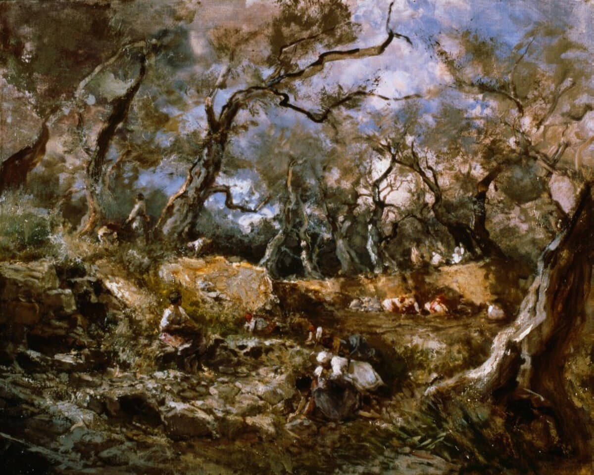 Grove of Olive Trees in Bordighera by Claude Monet