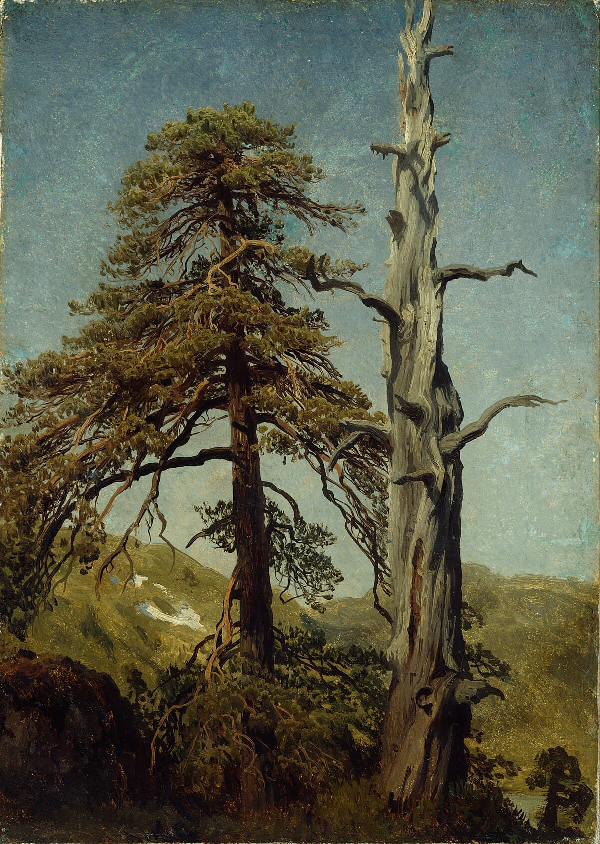 Study of trees by Édouard Manet