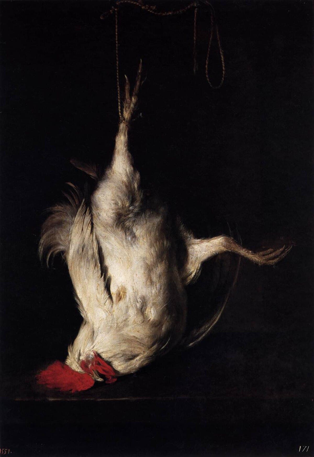 Dead Cock by Gabriel Metsu at Museo del Prado, Madrid