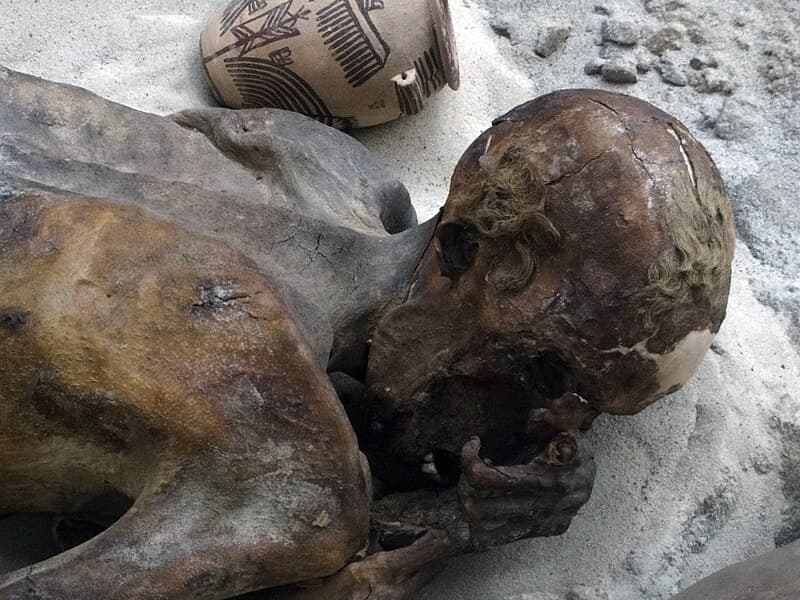 Gebelein Mummies by Ancient Egyptian (Unknown)