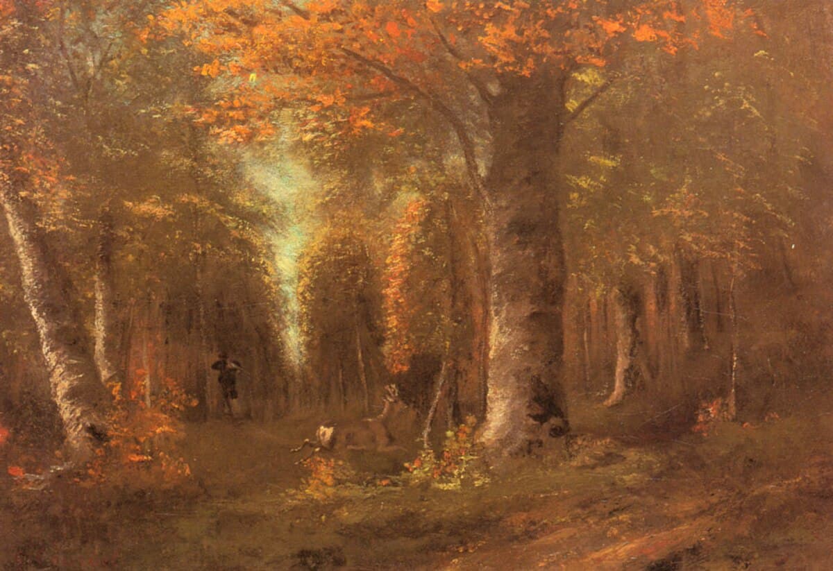 The Forest in Autumn
