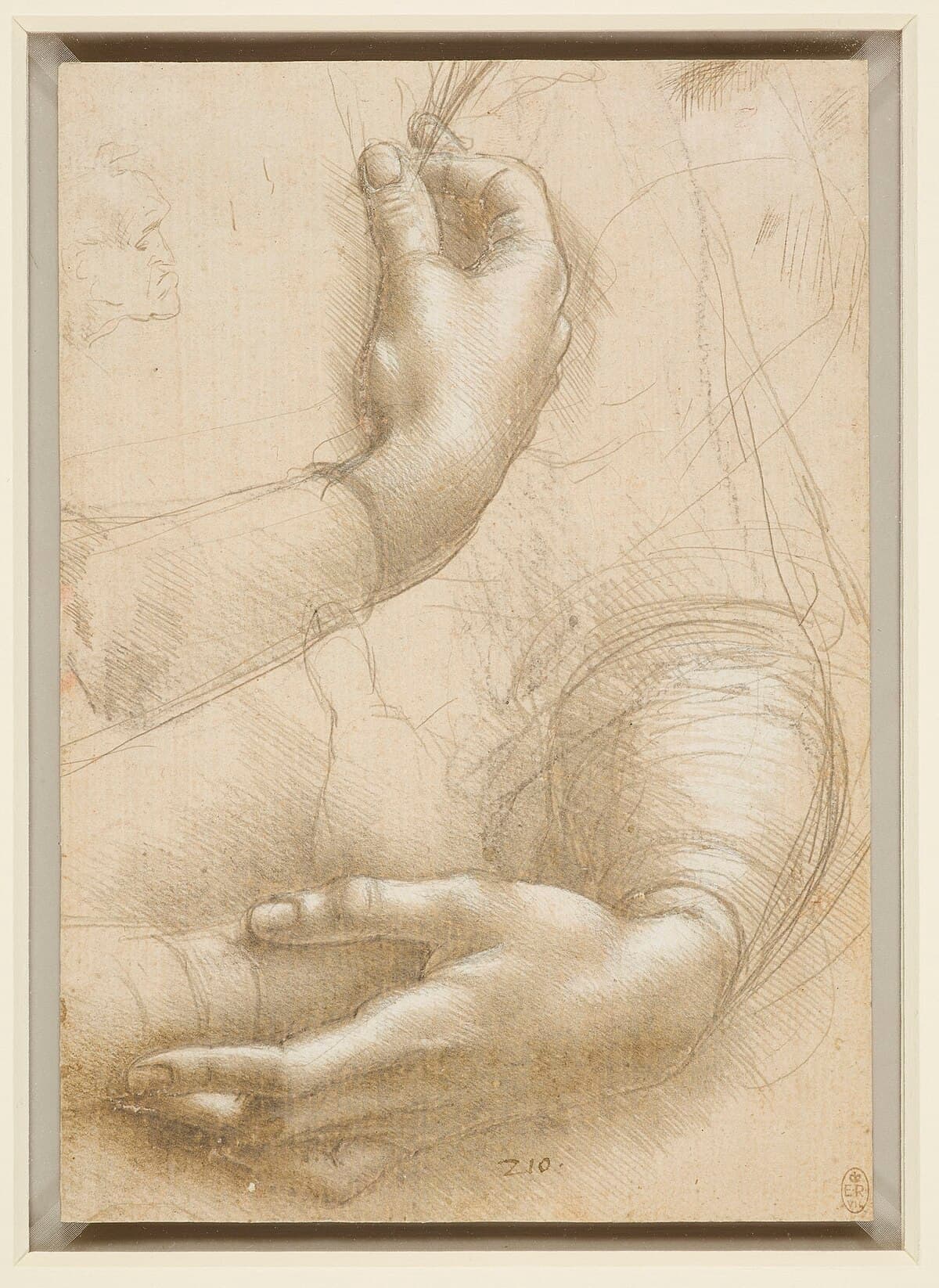 Study sheet by Leonardo da Vinci