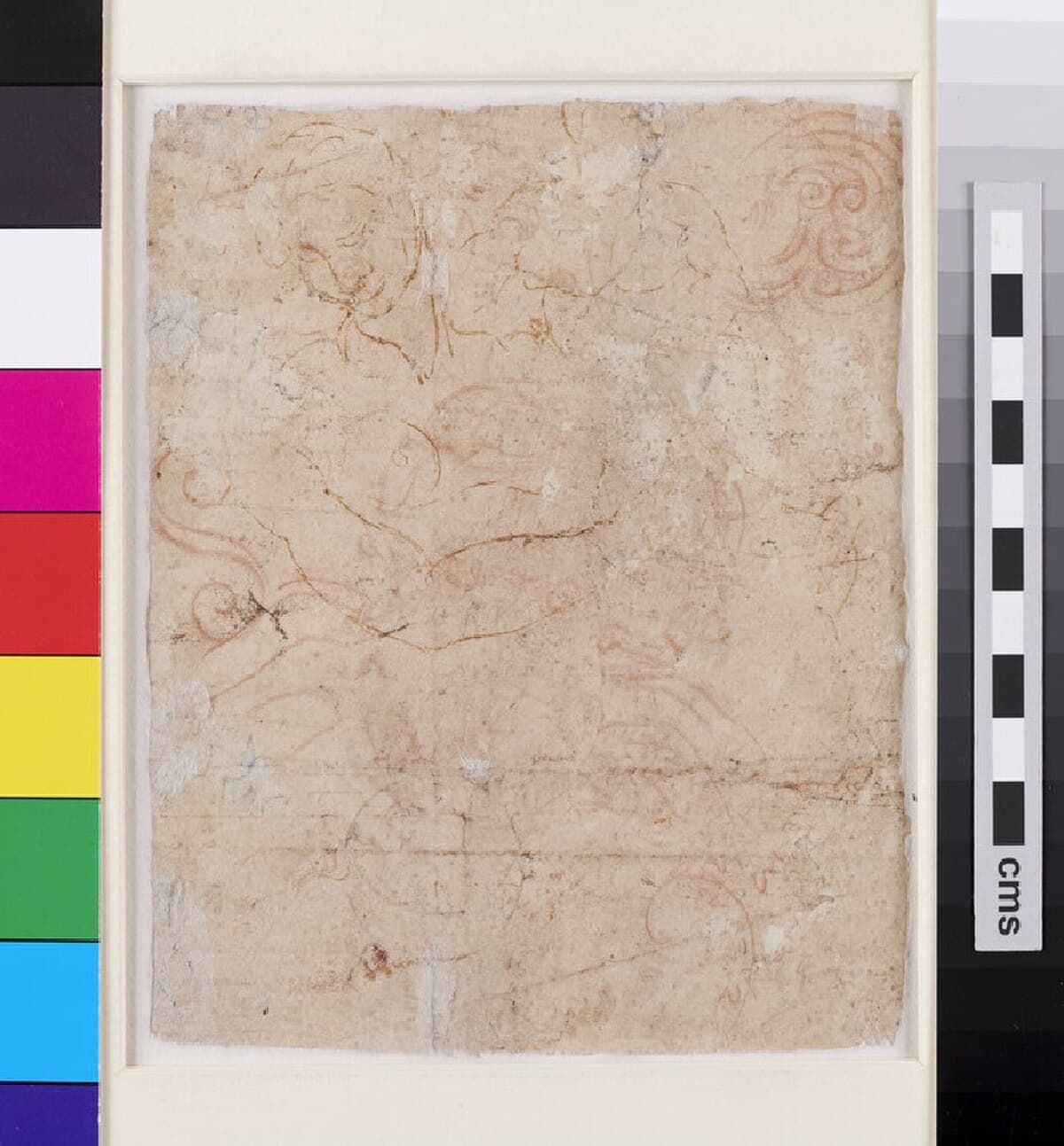 Various studies by Michelangelo