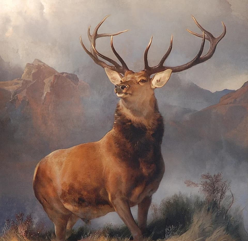 The Monarch of the Glen by Edwin Landseer (1851), Oil on canvas at National Galleries of Scotland