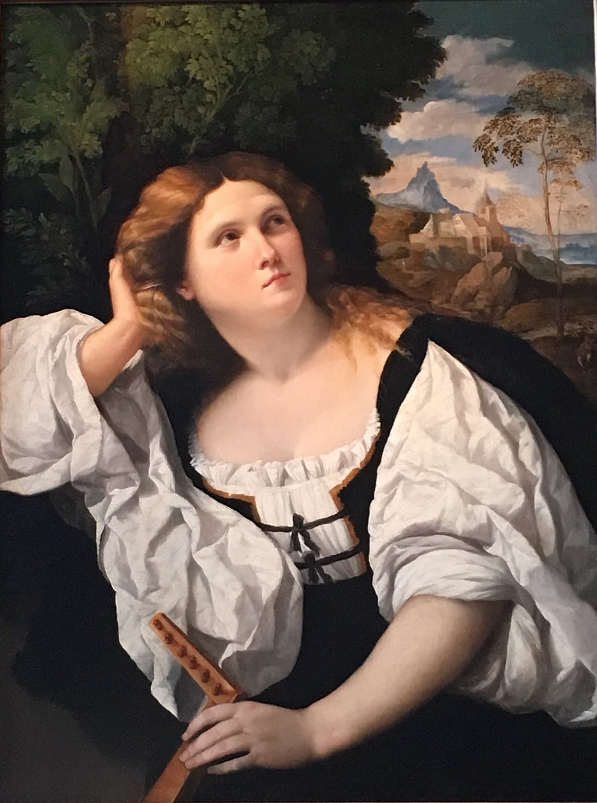 Lady with a Lute by Palma Vecchio at Private Collection