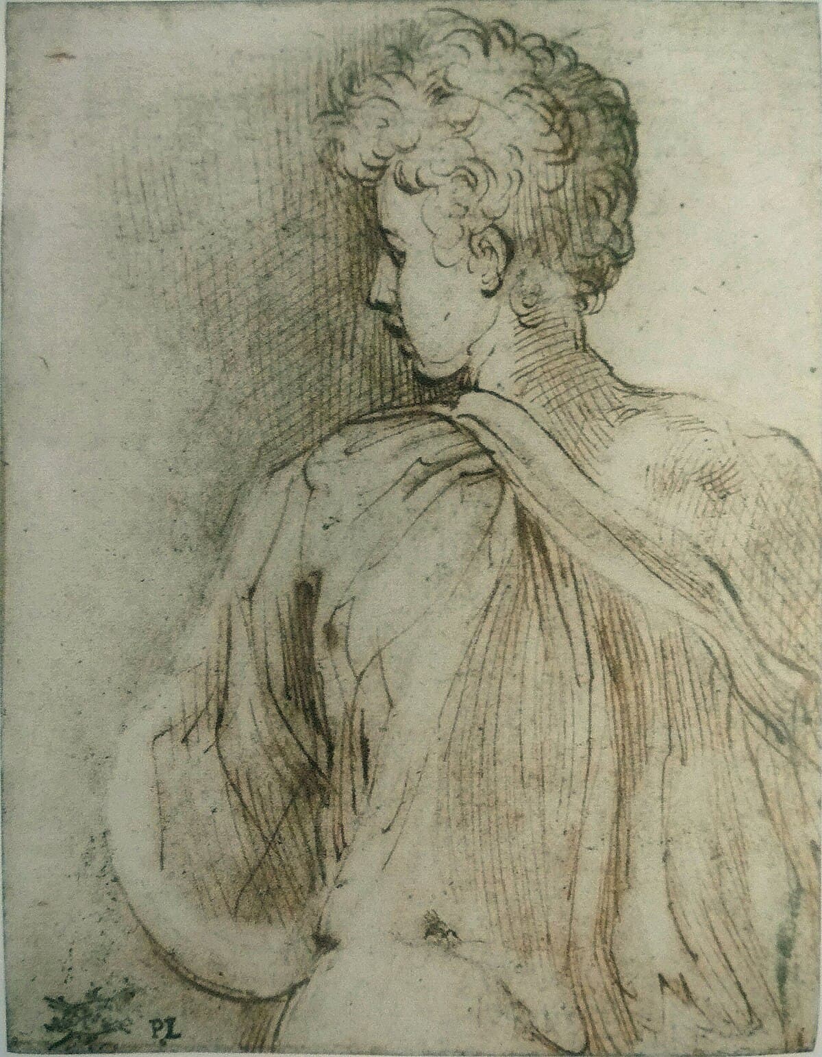 Young man seen from behind, face in profile by Parmigianino