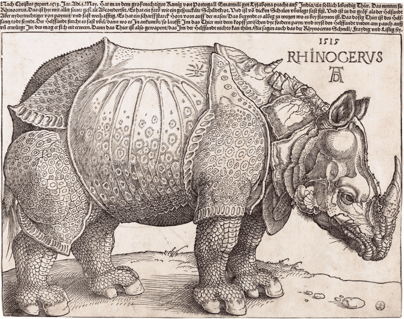 Rhinoceros by Albrecht Dürer (1515), Woodcut at British Library, London