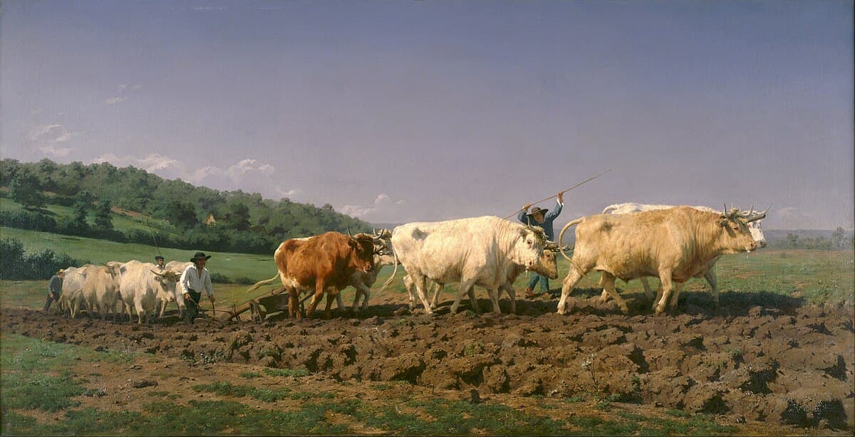 Plowing in the Nivernais by Rosa Bonheur at Musée d'Orsay
