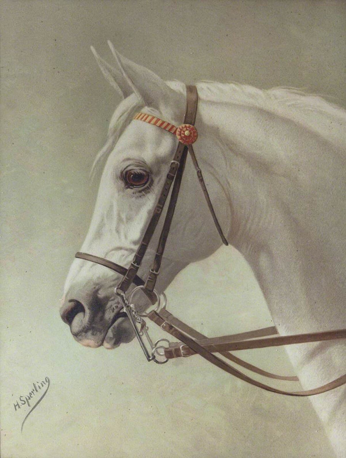 The head of white horse by Théodore Géricault