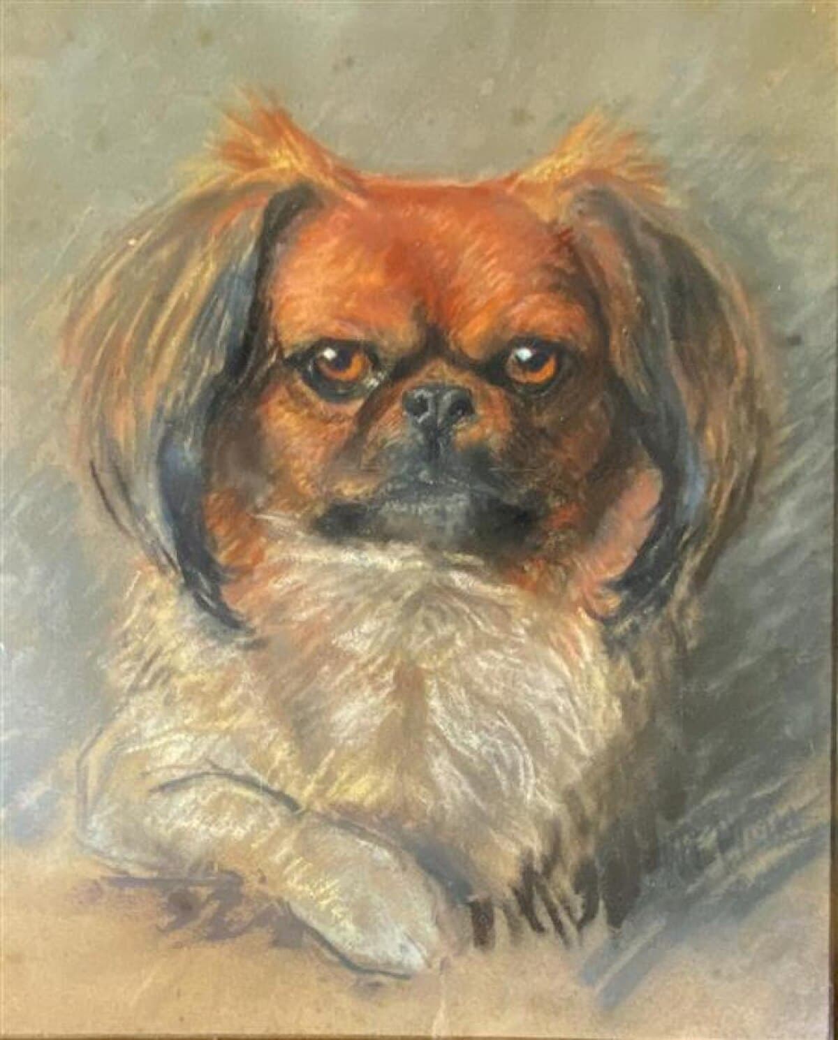 Dog by Vincent van Gogh