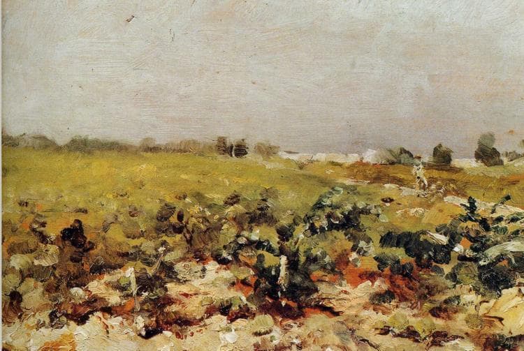 C leyran View of the Vignards by Henri de Toulouse-Lautrec