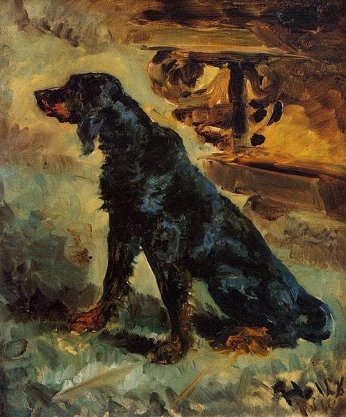 Dun, a Gordon Setter Belonging to Comte Alphonse de Toulouse Lautrec by Henri de Toulouse-Lautrec