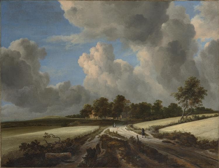 Wheat Fields by Jacob van Ruisdael at The Metropolitan Museum of Art