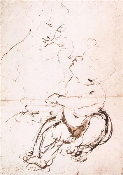 Study for the Madonna with the Fruit Bowl by Leonardo da Vinci