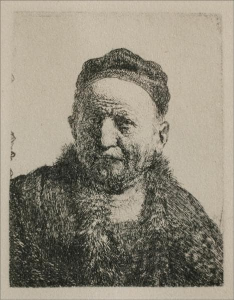 Head and Bust, Full Face by Rembrandt van Rijn