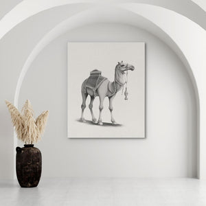 a black and white photo of a horse in a room