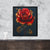 a painting of a red rose on a black background