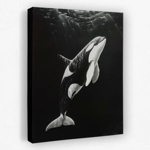 a black and white photo of an orca whale