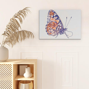 a painting of a butterfly on a white wall