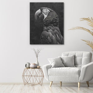 a black and white photo of a parrot in a living room