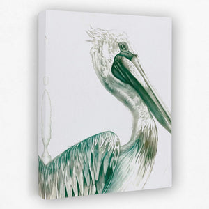 a painting of a pelican on a white background