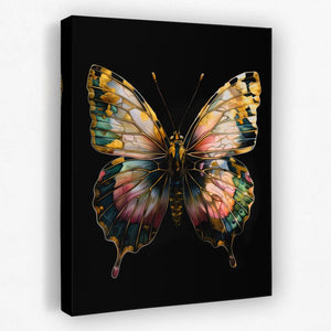 a colorful butterfly on a black background