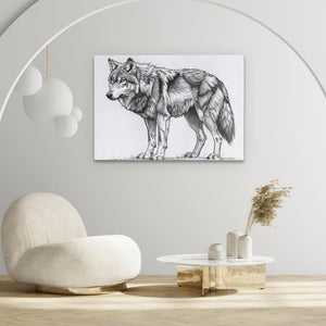 a drawing of a wolf in a living room