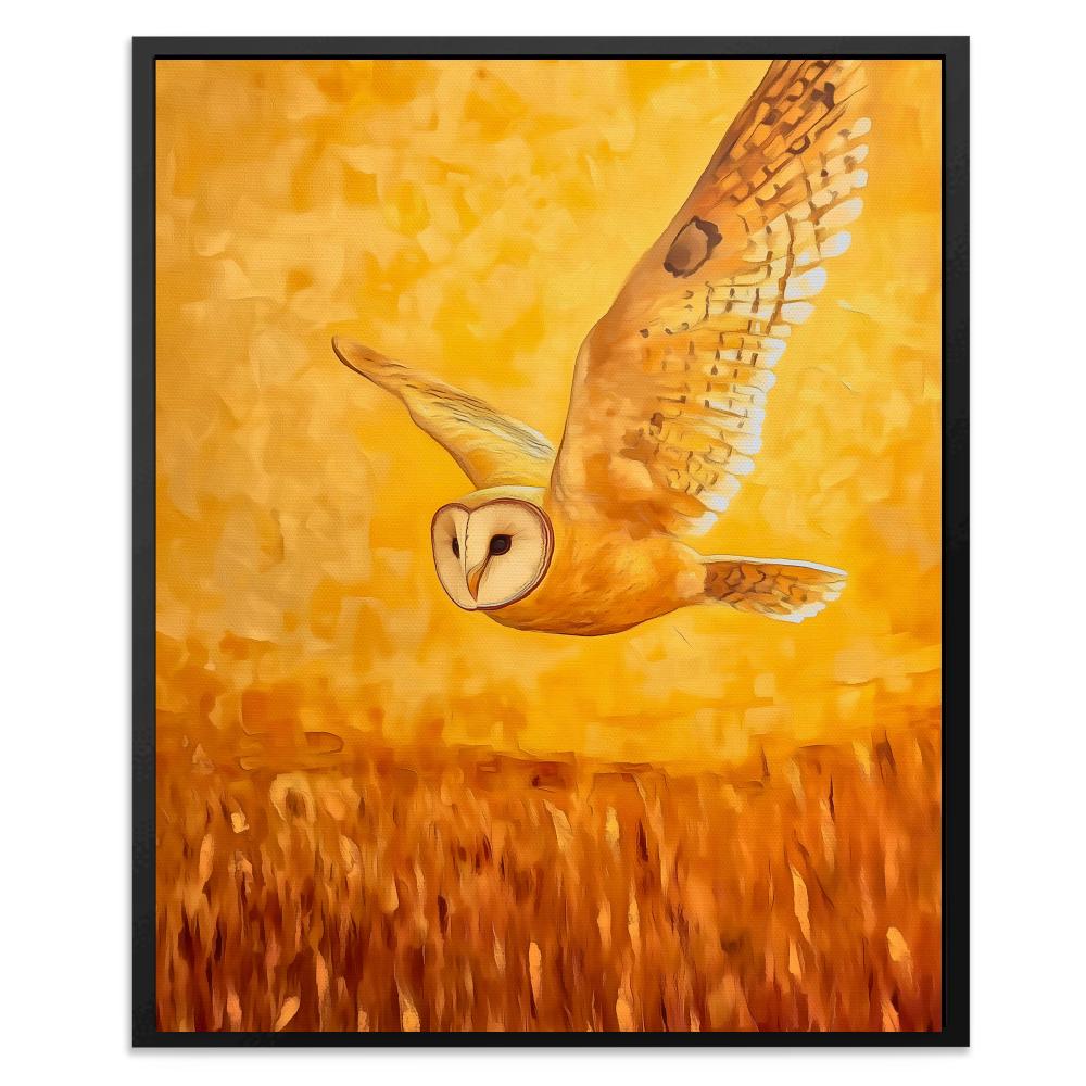 Barn Owl in Sunset Glow