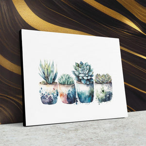 Blue Shades Succulents