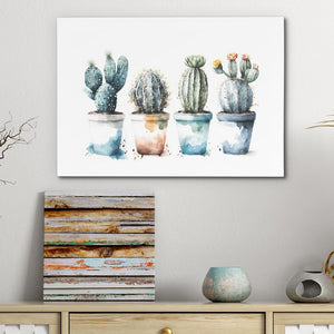 Blue Shades cactus