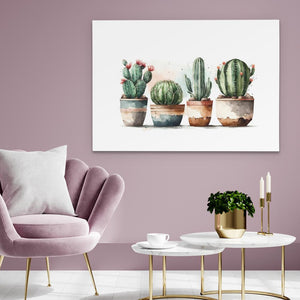 Four Cactus Plants