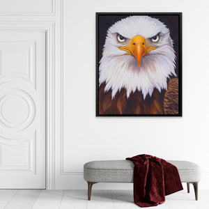 Fierce Bald Eagle