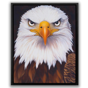 Fierce Bald Eagle