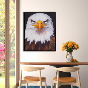 Fierce Bald Eagle