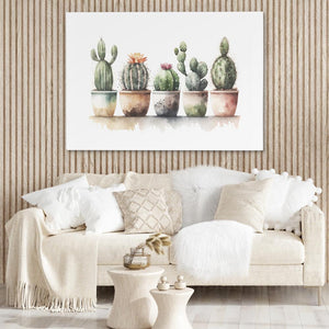 Flowering Cacti
