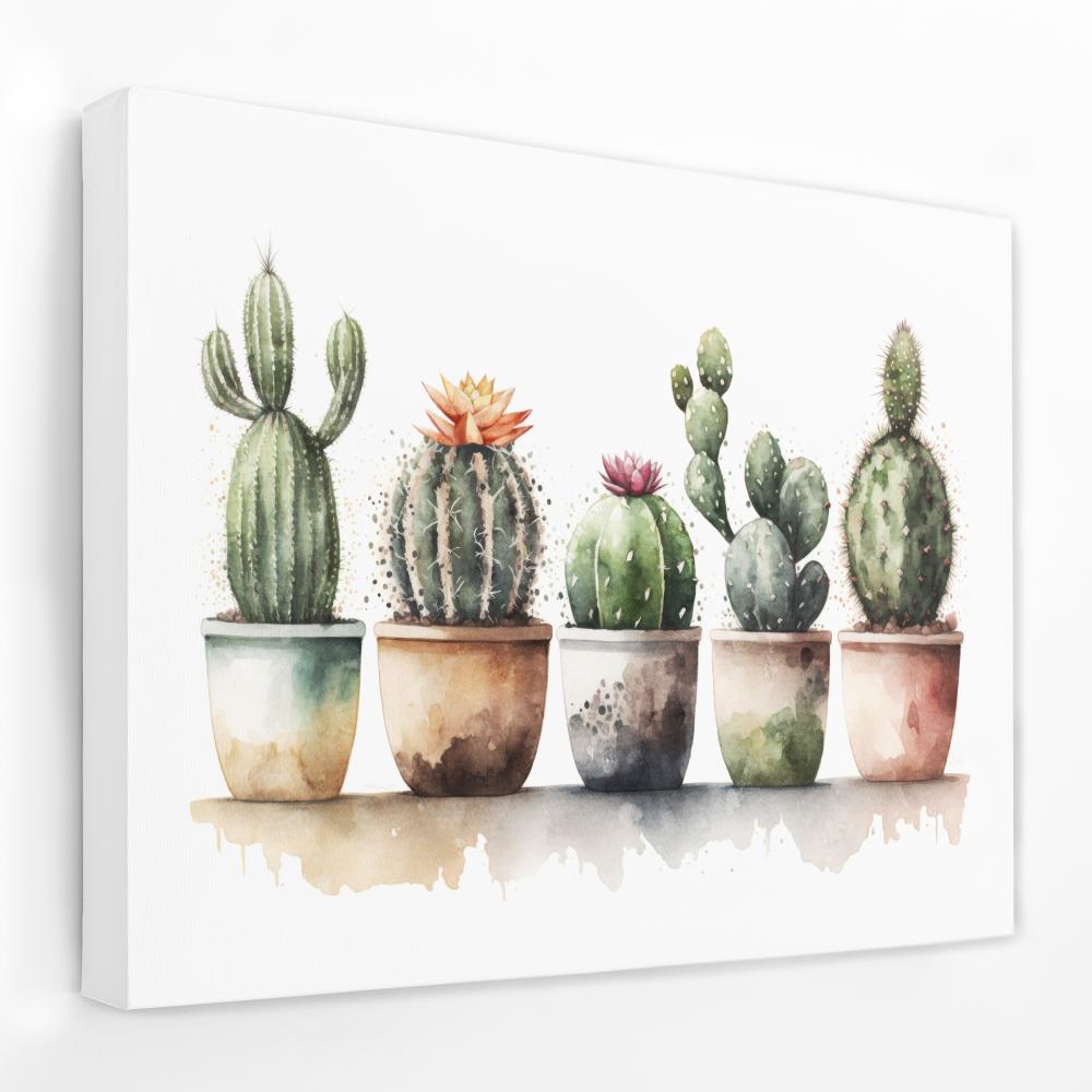 Flowering Cacti