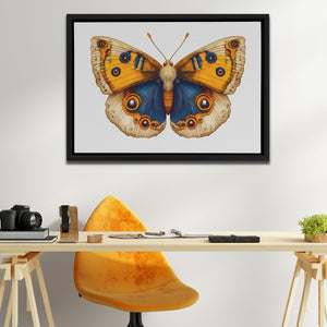 Golden and Blue Butterfly