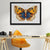 Golden_and_Blue_Butterfly