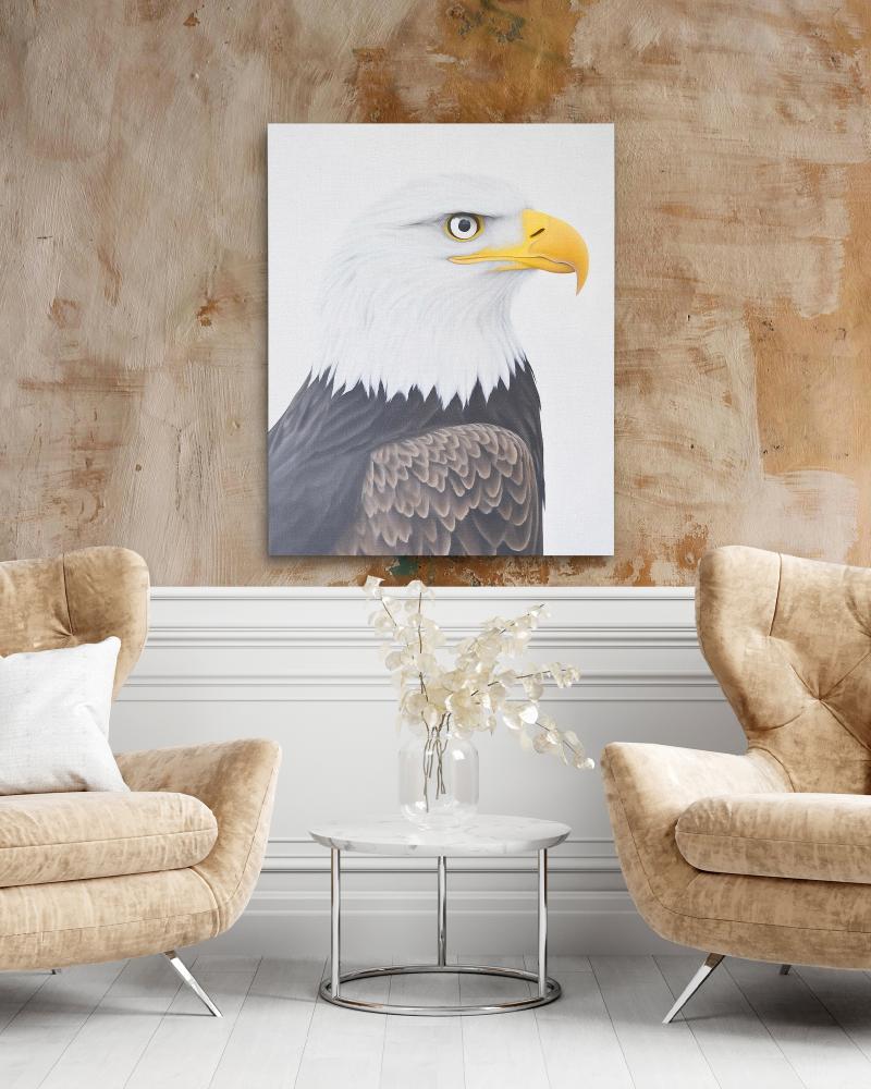 Minimalist Bald Eagle Portrait
