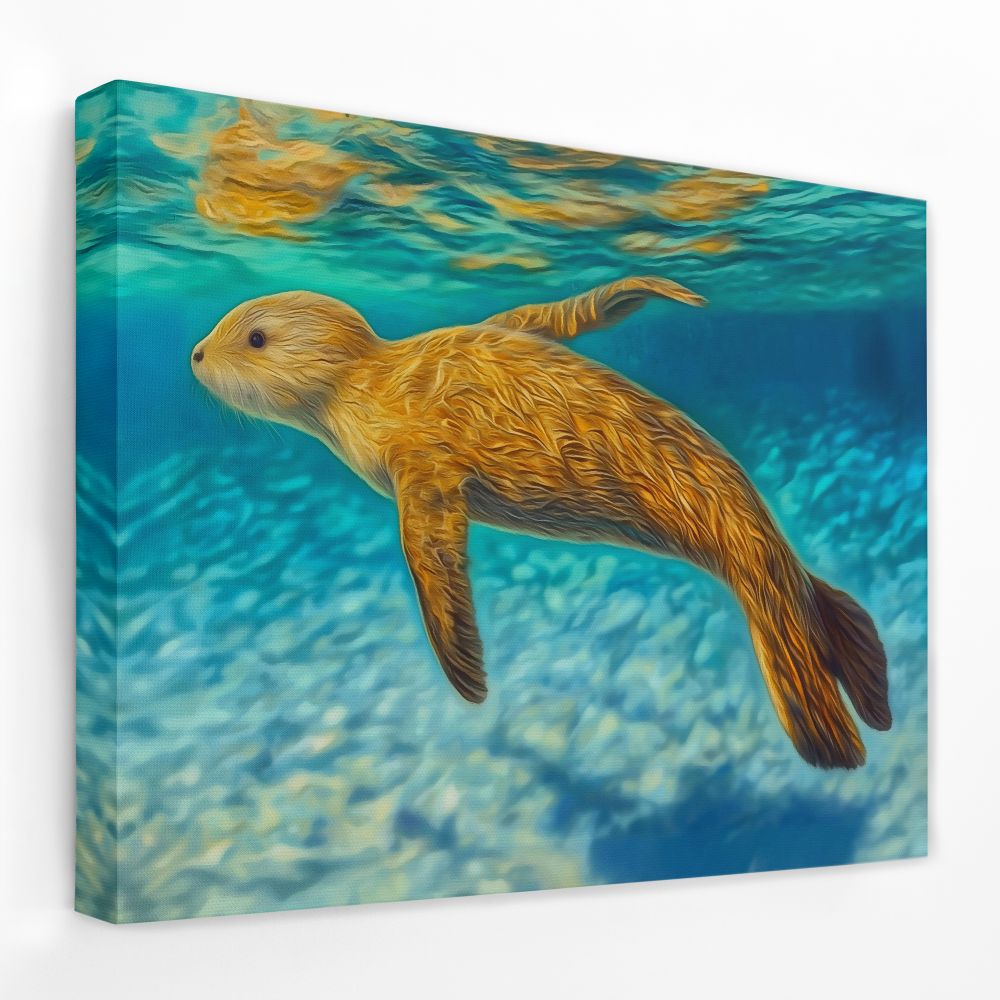 Shallow Seal Swimming