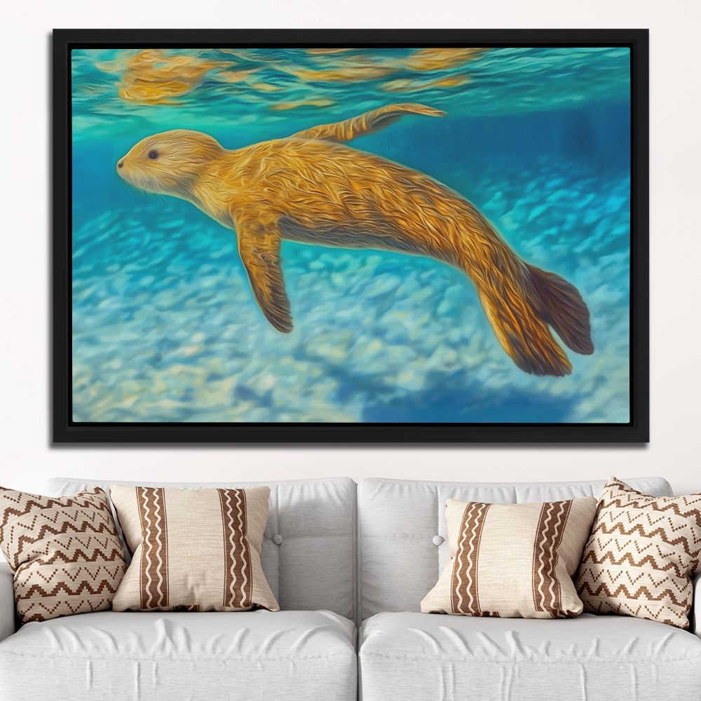 Shallow Seal Swimming