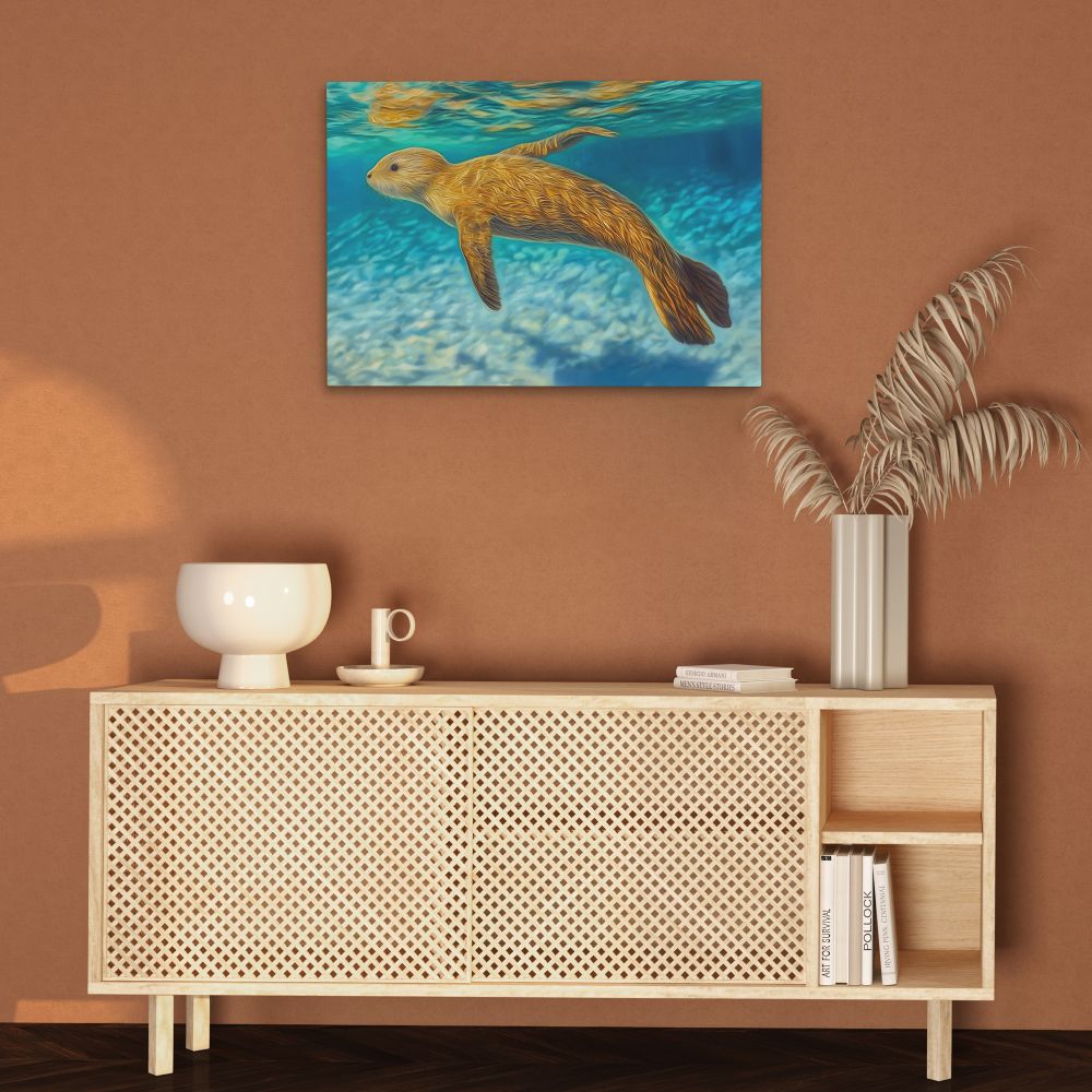 Shallow Seal Swimming