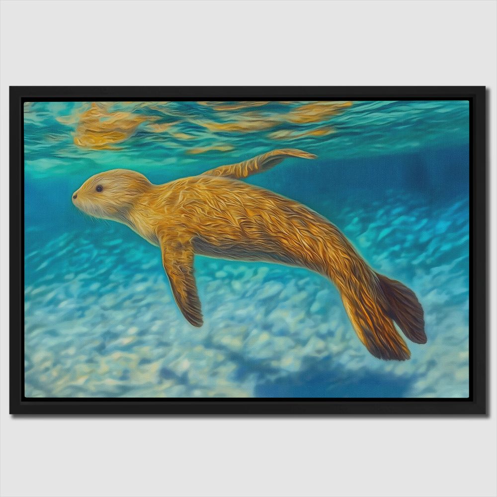 Shallow Seal Swimming