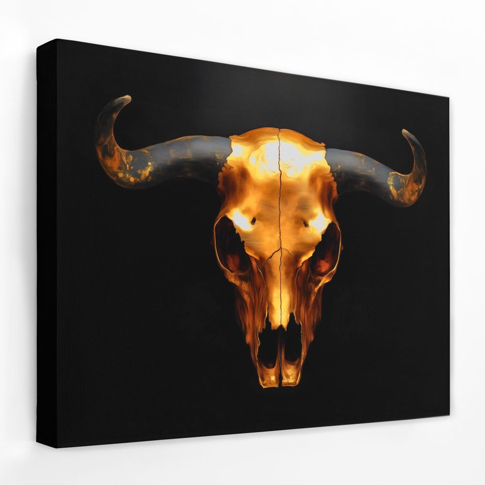 Skull of a Bull