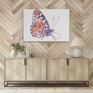 a painting of a butterfly on a wall