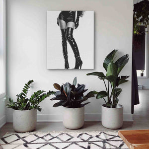 three potted plants sit in front of a white wall